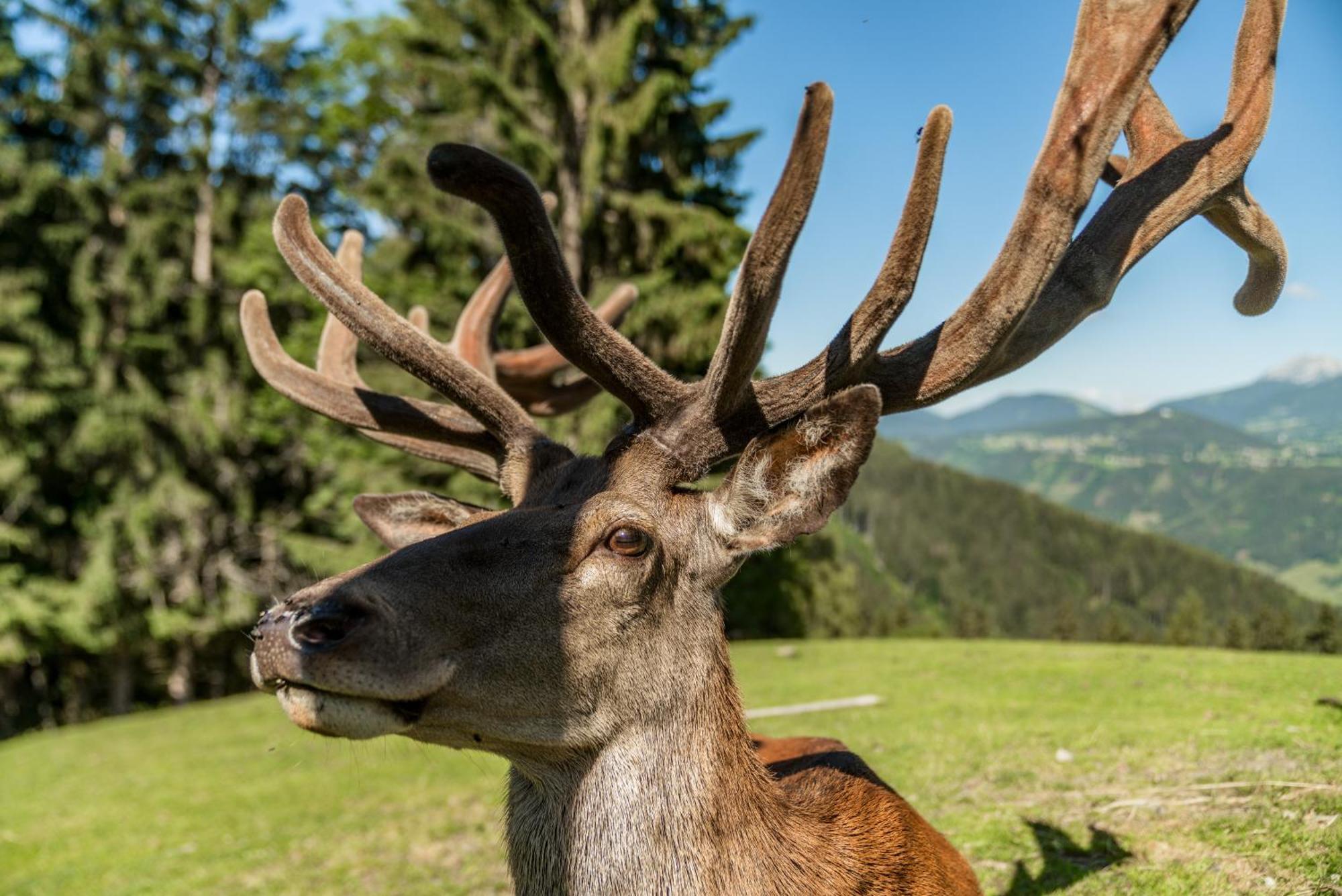 Apparthaus Taxegger Bagian luar foto