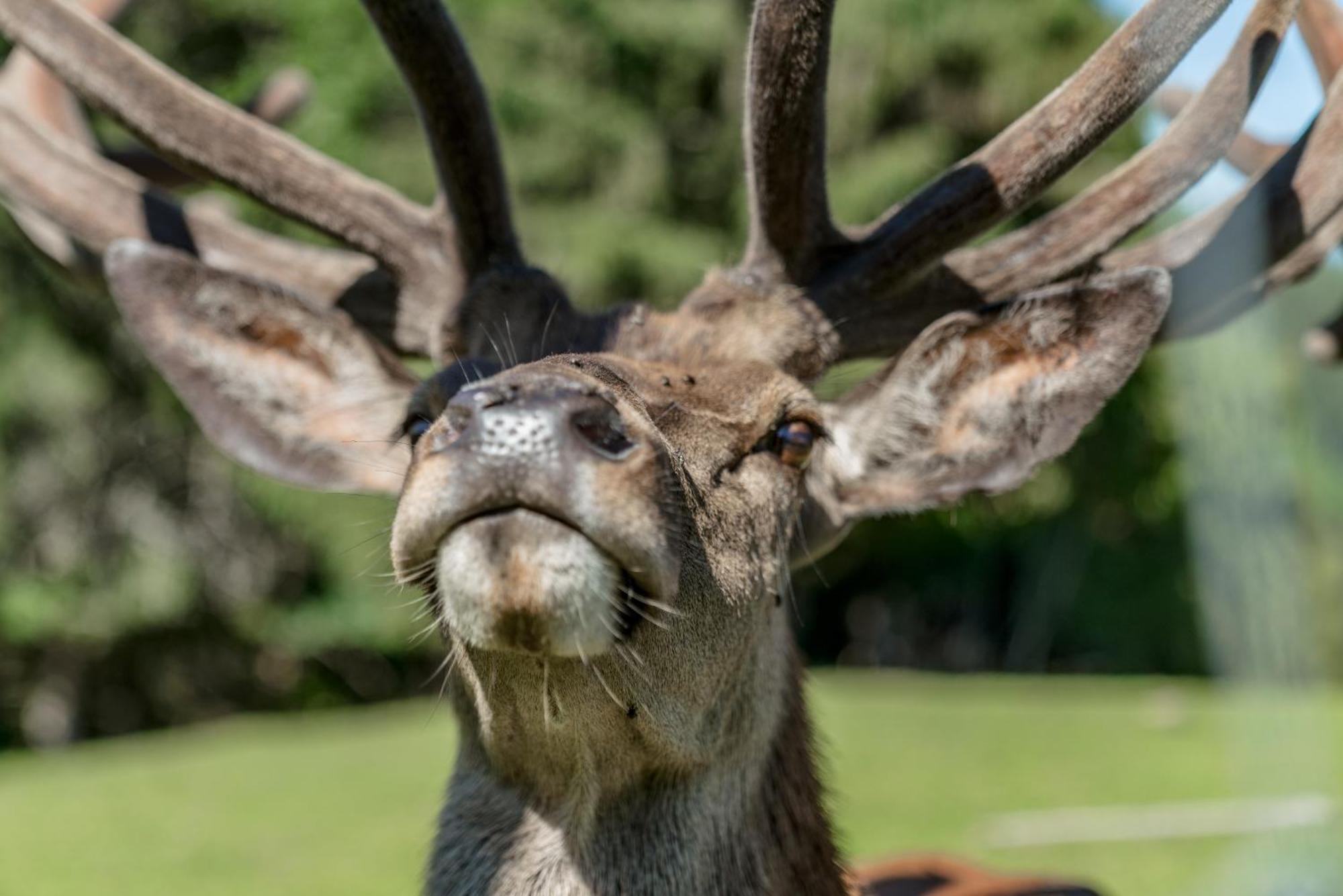 Apparthaus Taxegger Bagian luar foto